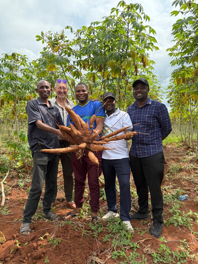 Organic farm in Tanzania